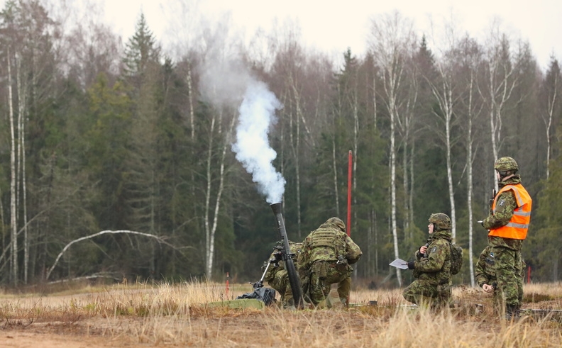 Illustreeriv pilt_Eesti Kaitsevägi.jpg